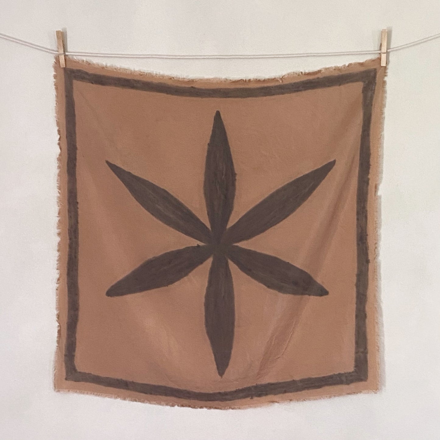 star anise